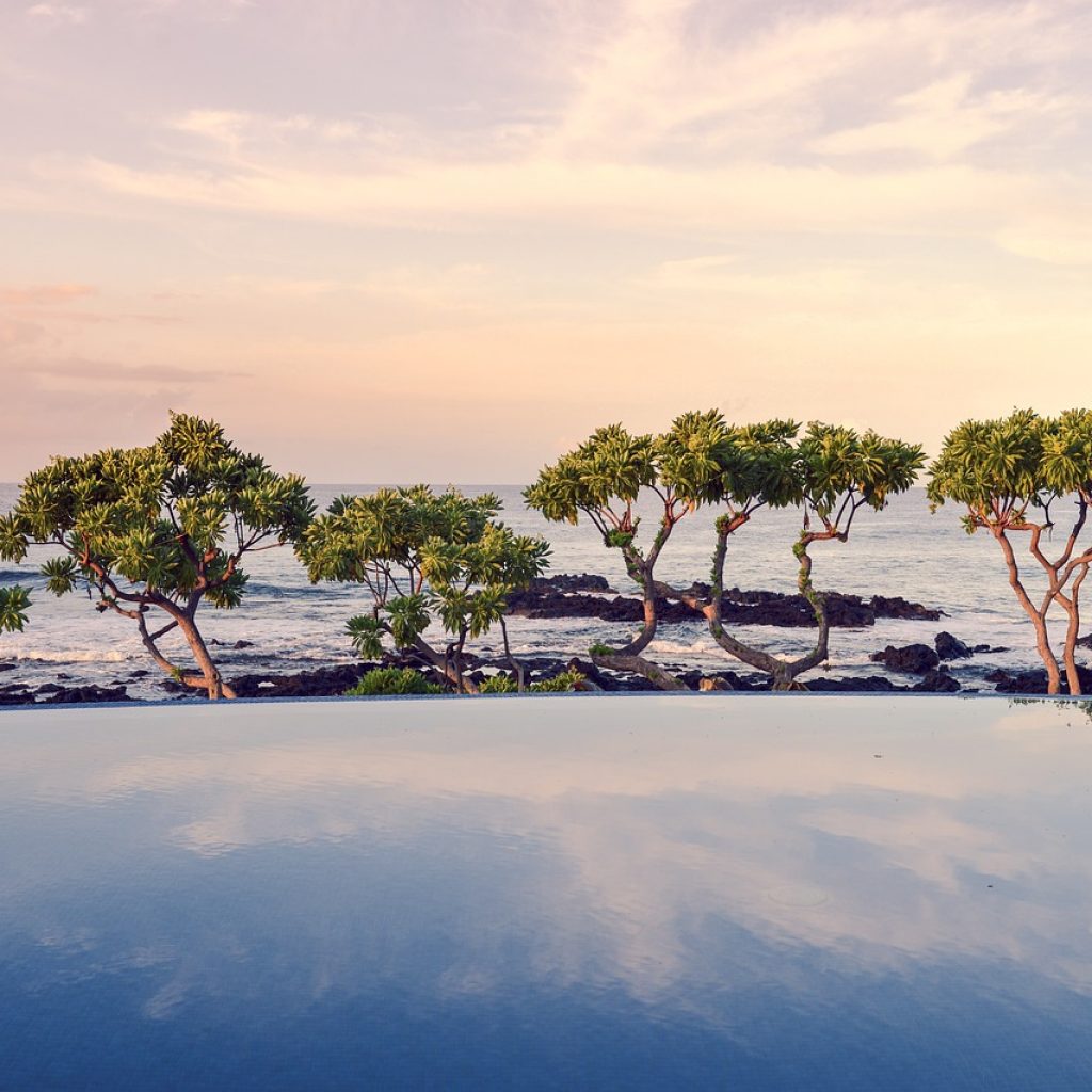 trees, swimming pool, ocean